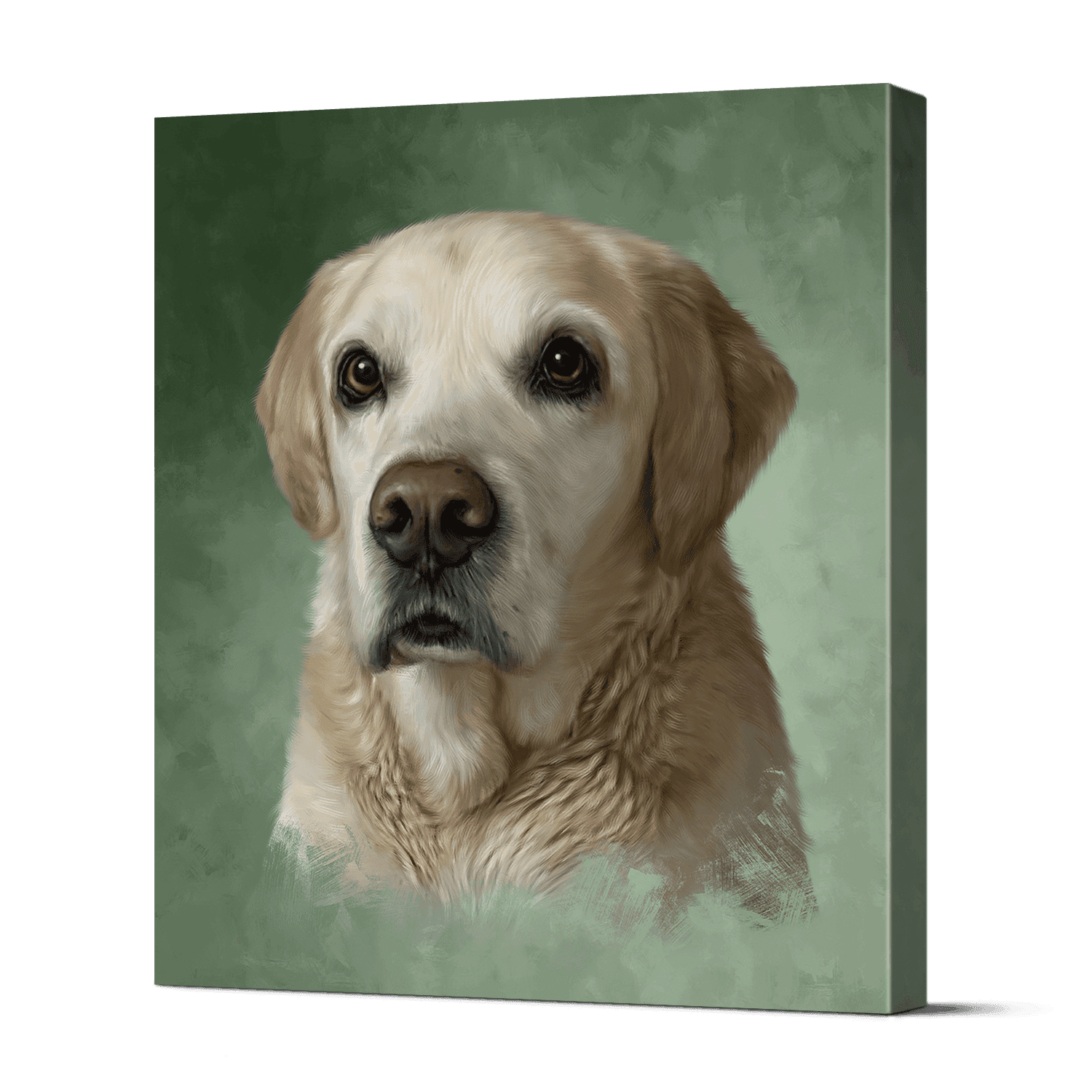 Pet Portraits 2