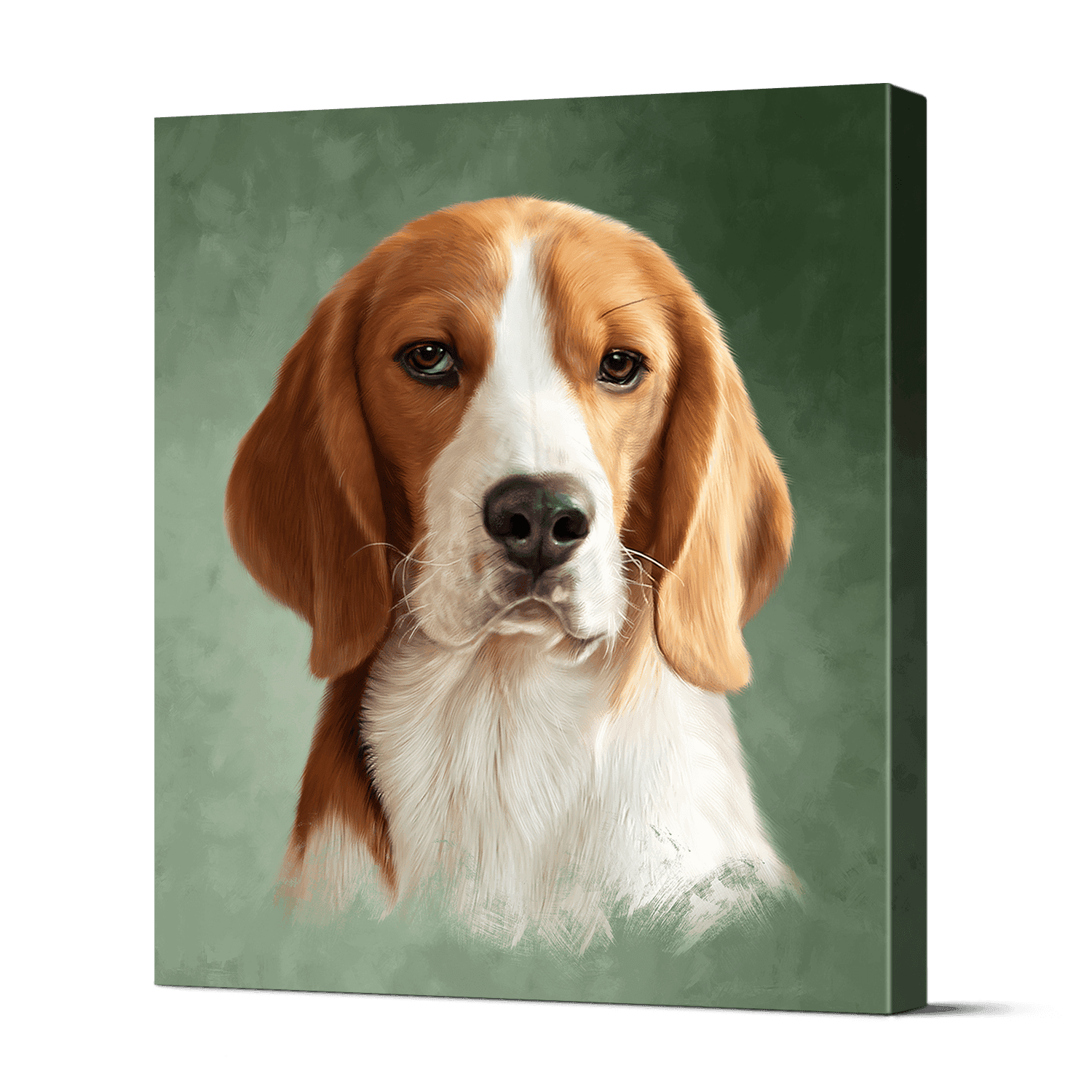 Pet Portraits 3