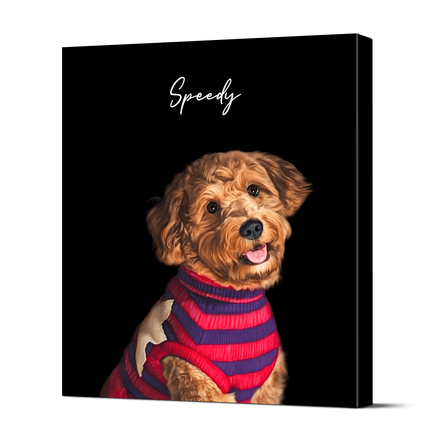 Pet Portraits 11
