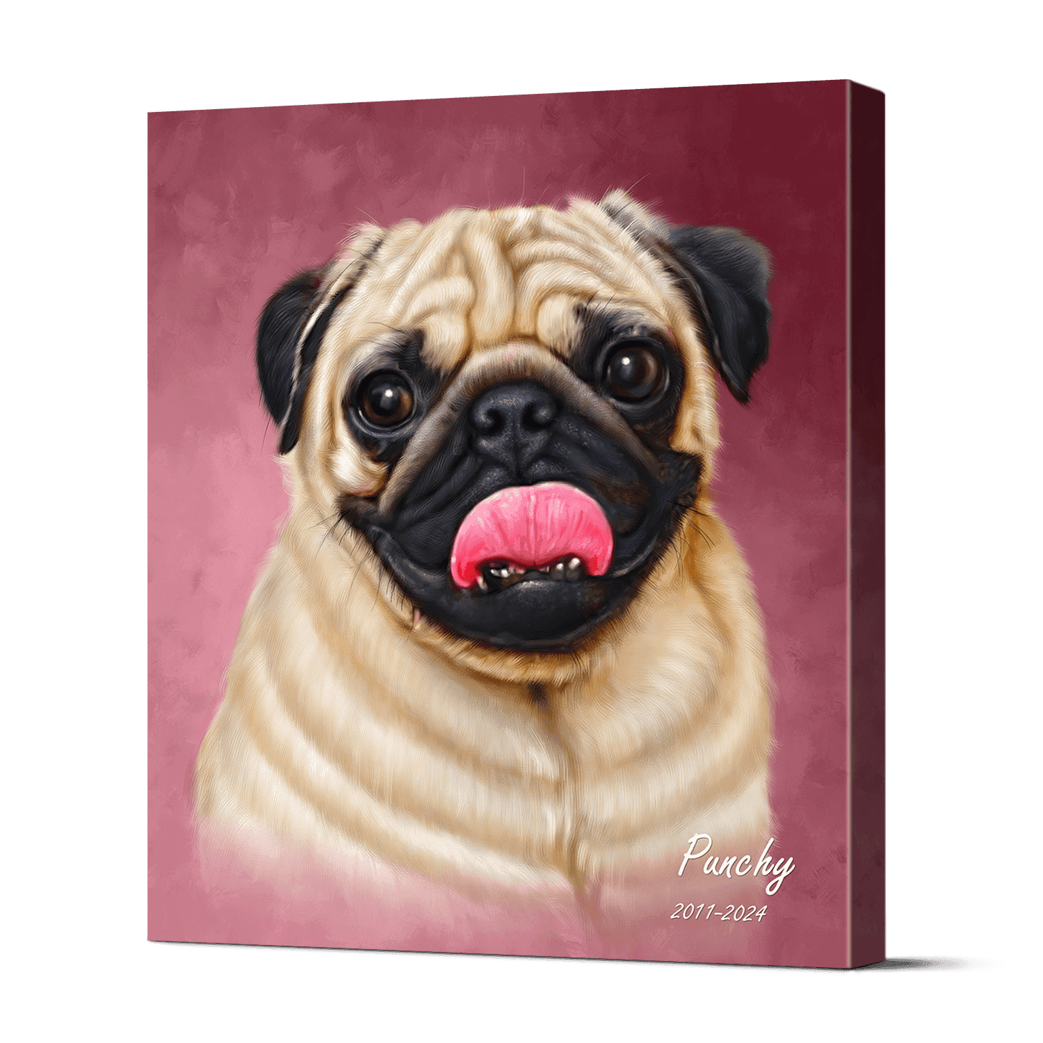 Pet Portraits 12