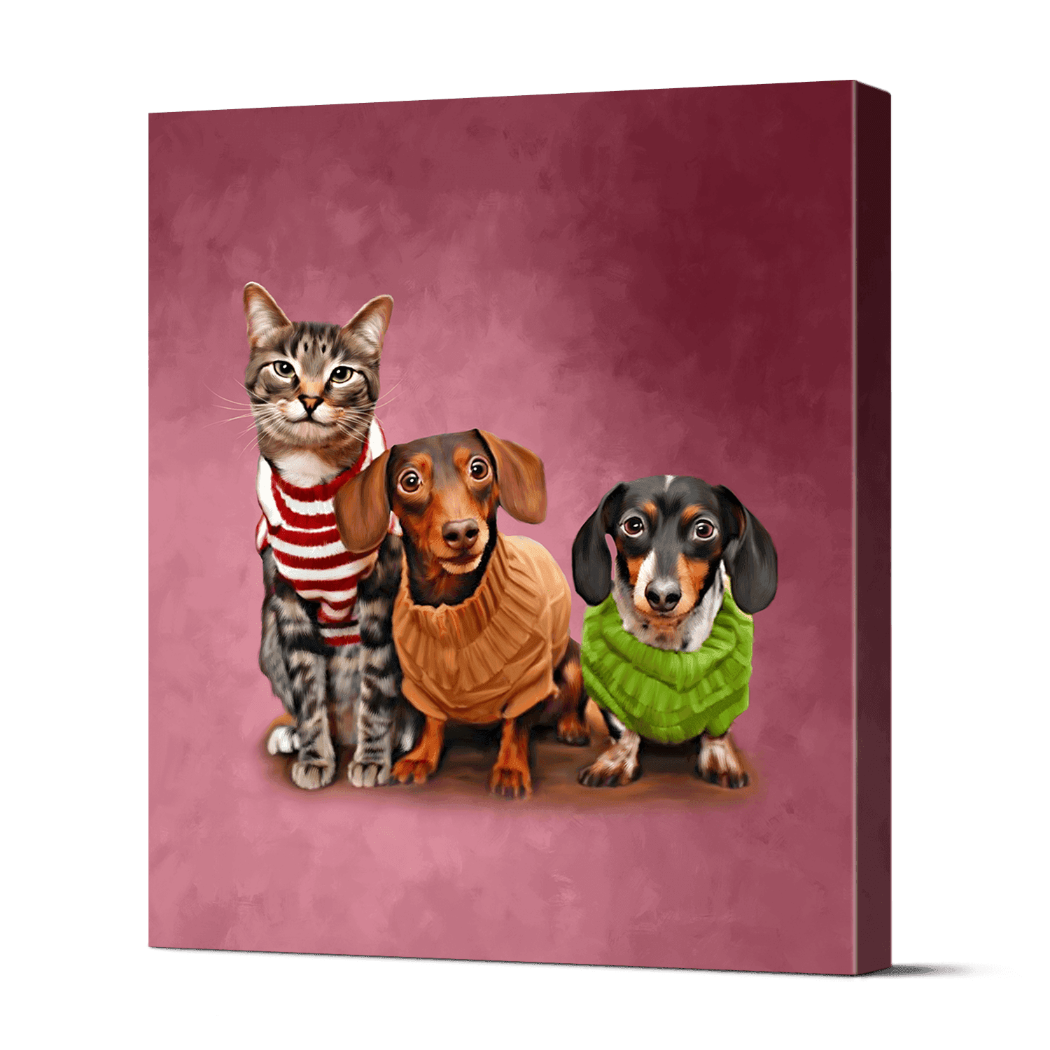 Pet Portraits 14