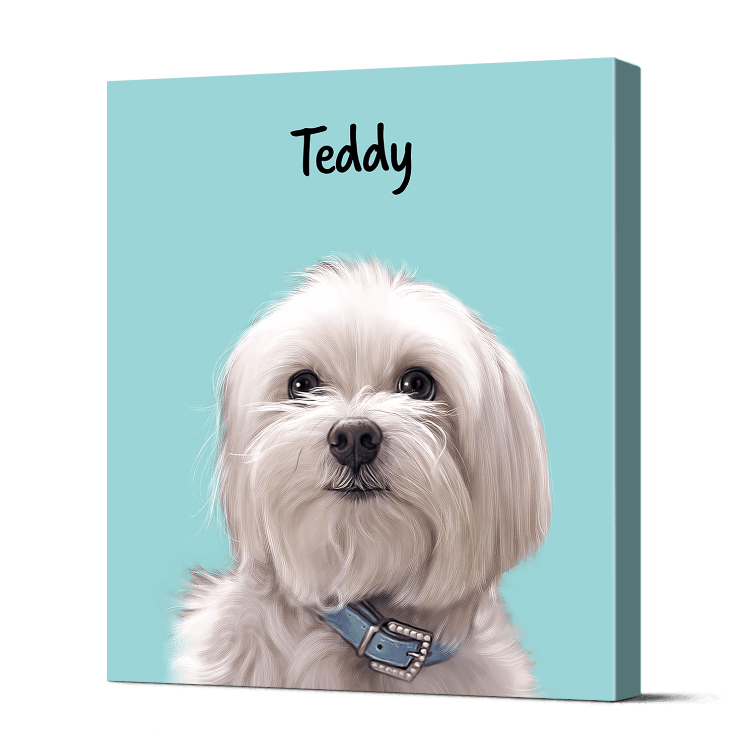 Pet Portraits 18