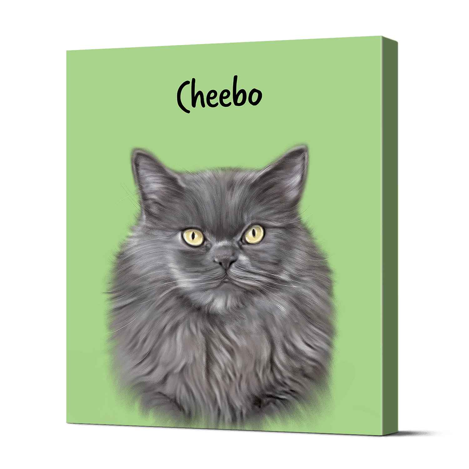 Pet Portraits 21