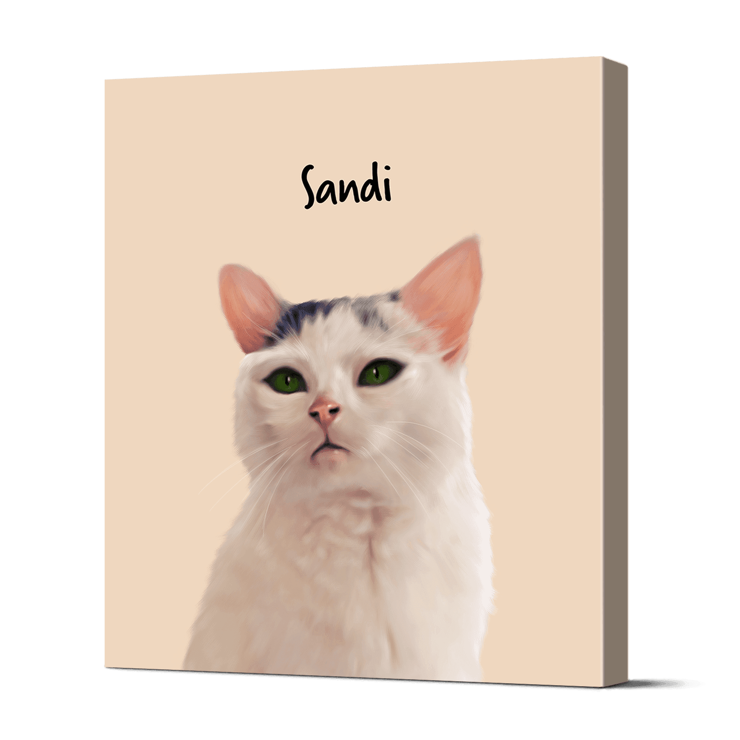 Pet Portraits 22