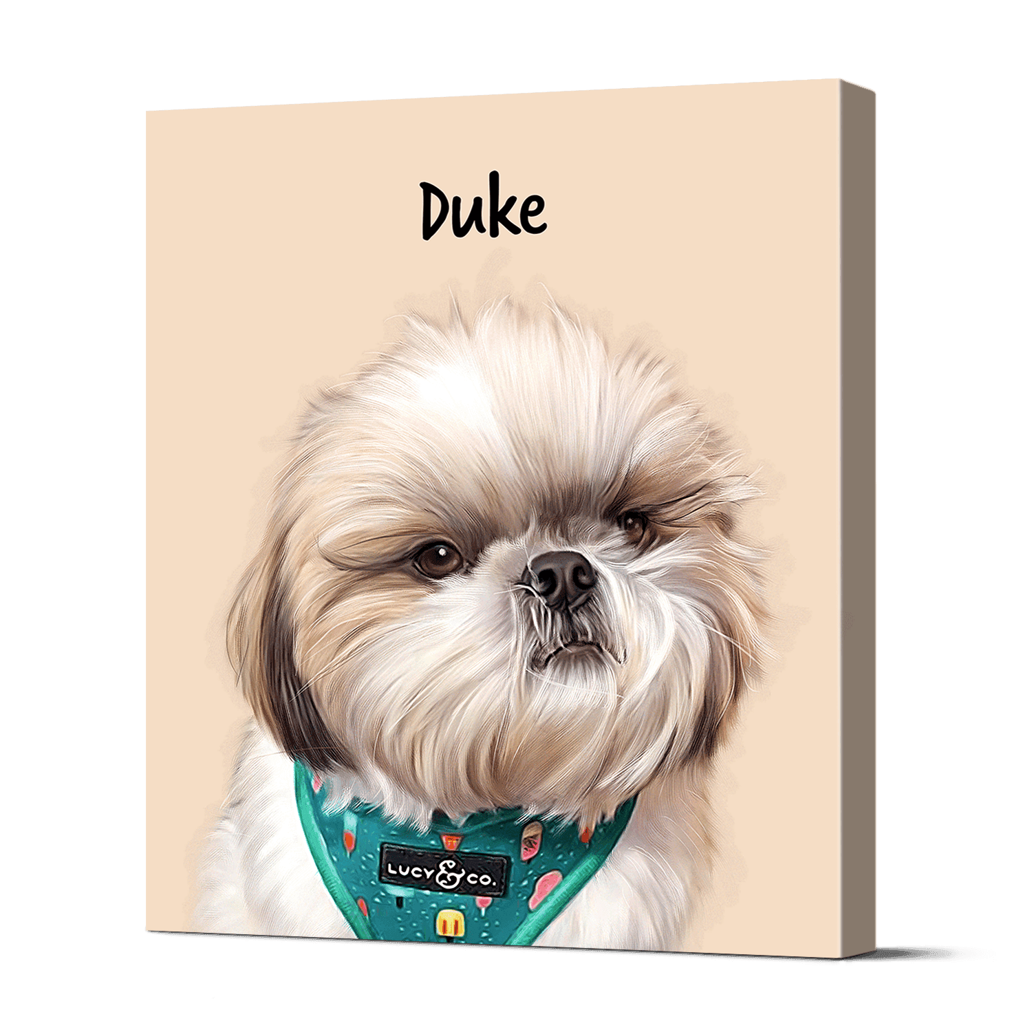 Pet Portraits 23