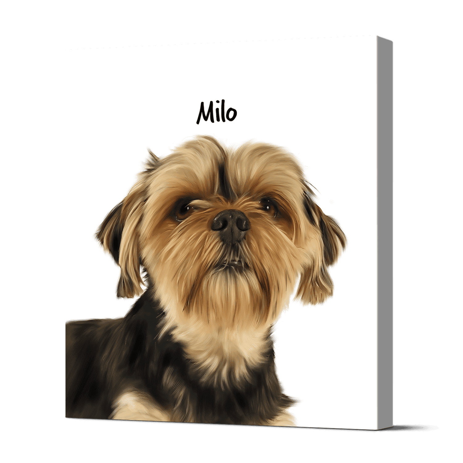 Pet Portraits 24